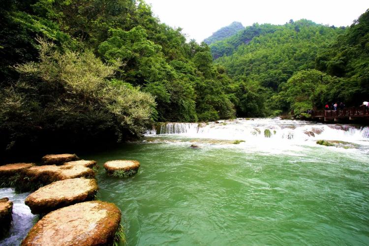 【魅力赤水】贵州双飞4天跟团游、赤水大瀑布、万顷竹海、佛光岩、四洞沟、茅台镇、遵义会议会址 【魅力赤水】贵州双飞4天跟团游、赤水大瀑布、万顷竹海、佛光岩、四洞沟、茅台镇、遵义会议会址
