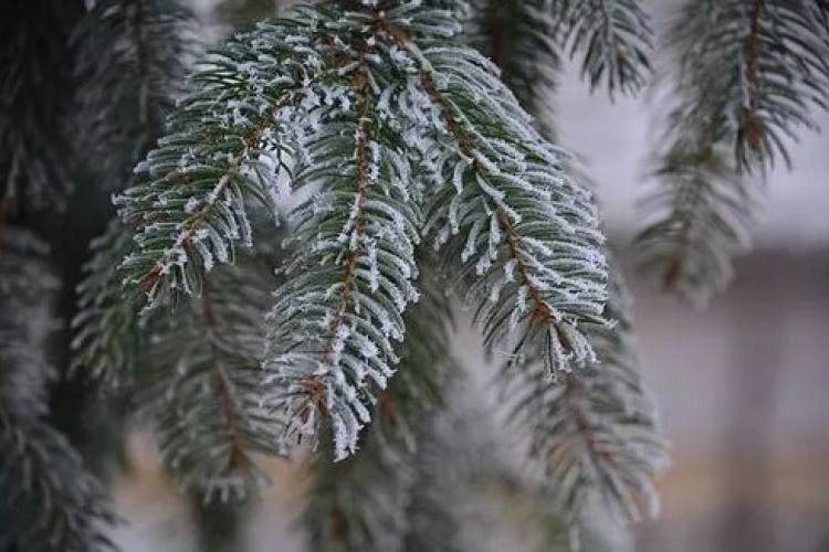 【东北冰雪传奇六天游】广州往返哈尔滨、中国雪乡、亚布力滑雪、长白山温泉、吉林雾凇6天跟团游 【东北冰雪传奇六天游】广州往返哈尔滨、中国雪乡、亚布力滑雪、长白山温泉、吉林雾凇6天跟团游