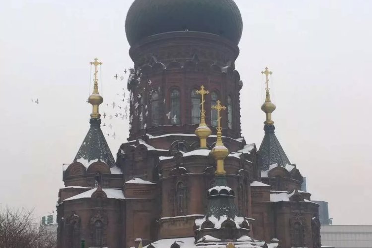 【冰雪神韵、东北七天游】广州往返哈尔滨、伏尔加庄园、亚布力滑雪、梦幻雪乡、长白山、吉林雾淞长廊双飞七天跟团游 【冰雪神韵、东北七天游】广州往返哈尔滨、伏尔加庄园、亚布力滑雪、梦幻雪乡、长白山、吉林雾淞长廊双飞七天跟团游