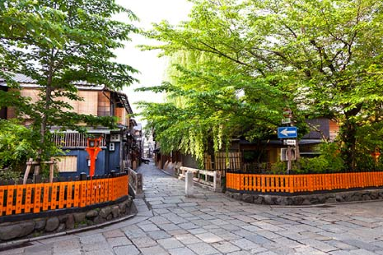 <探梅寻樱日本双古都六天游>广州往返日本本州东京+大阪6天5晚跟团游、特别安排茶道体验+和服体验 <探梅寻樱日本双古都六天游>广州往返日本本州东京+大阪6天5晚跟团游、特别安排茶道体验+和服体验