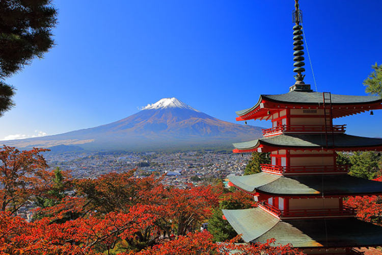  冬季东京怦然心冬六天游>广州往返日本东京 富士山6天5晚跟团游,安排