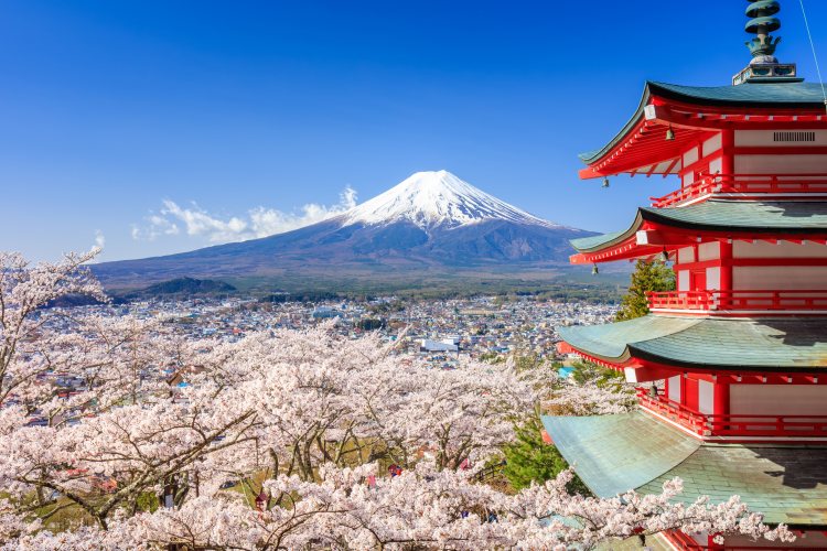 <春季日本本州初樱六天游>广州往返日本本州东京+富士山+大阪+京都6天5晚跟团游、全程当地四星酒店一晚温泉酒店 <春季日本本州初樱六天游>广州往返日本本州东京+富士山+大阪+京都6天5晚跟团游、全程当地四星酒店一晚温泉酒店