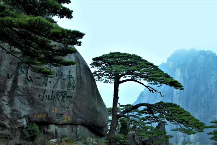 【华东】E18线-登黄山,画里乡村宏村、婺源篁岭、道教名山齐云山、夜宿山顶观日出双飞四天纯玩(住精品客栈、含山顶早中餐) 【华东】E18线-登黄山,画里乡村宏村、婺源篁岭、道教名山齐云山、夜宿山顶观日出双飞四天纯玩(住精品客栈、含山顶早中餐)