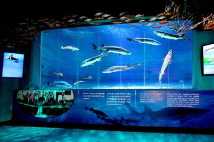 优质纯玩:港澳海洋+自由行三天、纯玩0自费 优质纯玩:港澳海洋+自由行三天、纯玩0自费